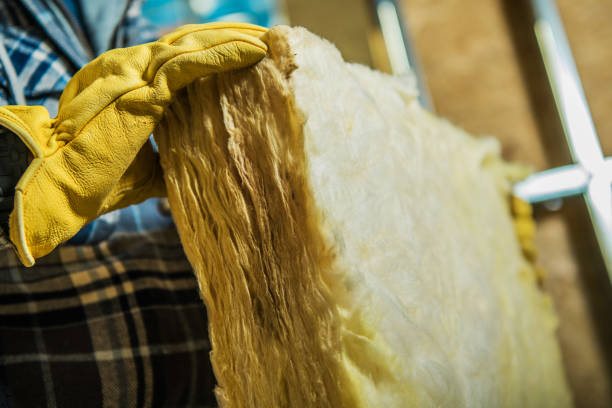 Best Specialized Insulation Services in Lena, IL