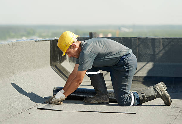 Best Cellulose Insulation in Lena, IL