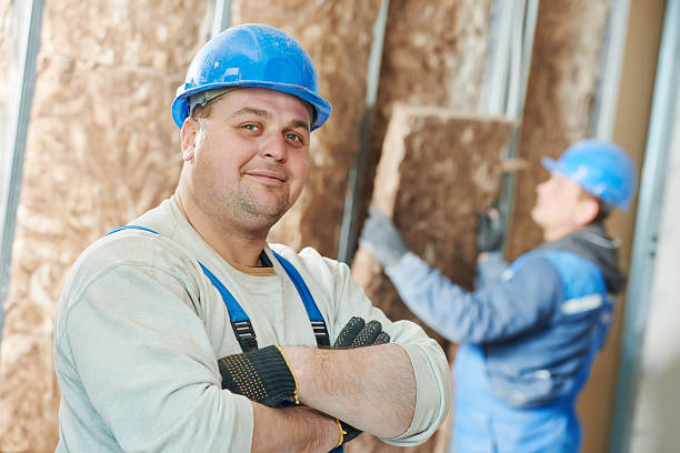 Best Residential Insulation in Lena, IL