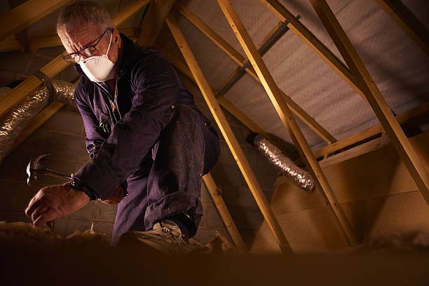Professional Insulation Contractor in Lena, IL